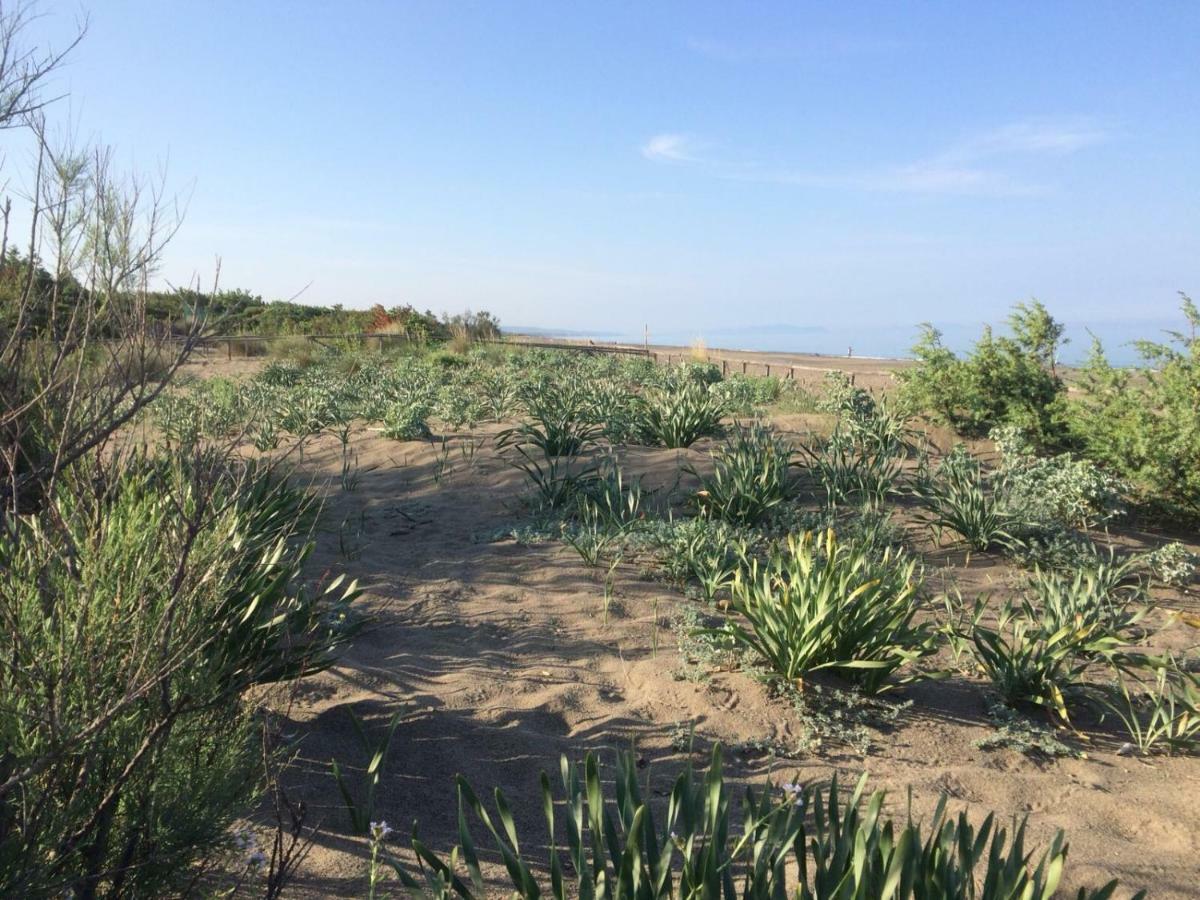 Camping I Melograni Marina Di Bibbona Exterior foto